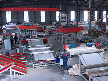 Perfil de la empresa